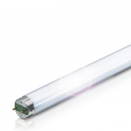 Лампа люминисцентная 36Вт/640 (теплая) OSRAM(Смоленск)