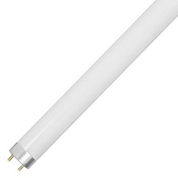 Лампа люминесцентная Т8 G13 10Вт 4200К
