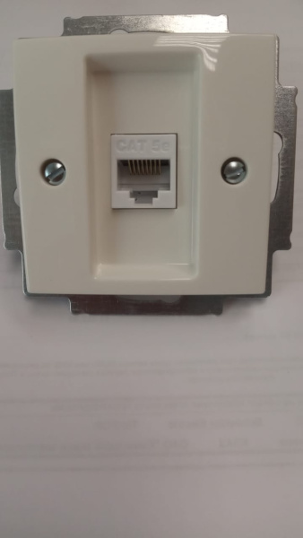 Розетка комп-я 1-ая RJ45  ABB Basic 55/DIY/белый