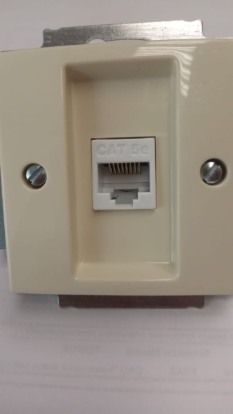 Розетка комп-я 1-ая RJ45  ABB Basic 55/DIY/бежевый